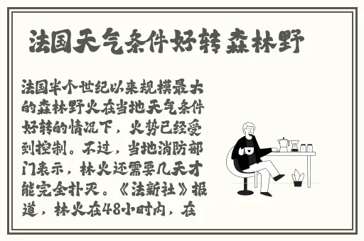 暑假作业陈子欣资源